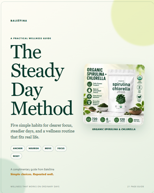 The Steady Day Method Ebook